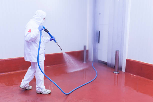 Best Oil Spill Cleanup  in Driggs, ID
